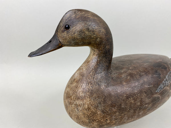 Torry Ward Pintail Hen, Original Paint (#6493)