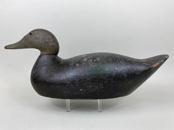 Mason Premier Black Duck (#6497)