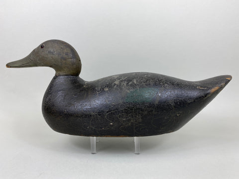 Mason Premier Black Duck (#6497)