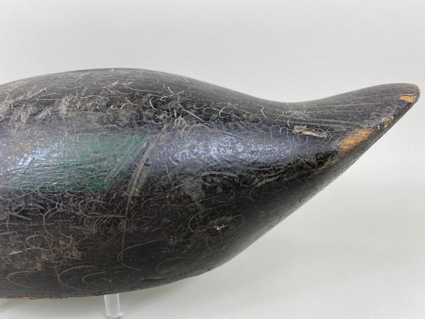 Mason Premier Black Duck (#6497)