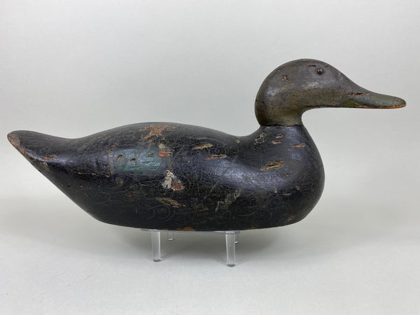 Mason Premier Black Duck (#6497)