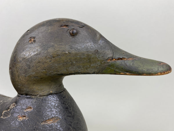 Mason Premier Black Duck (#6497)