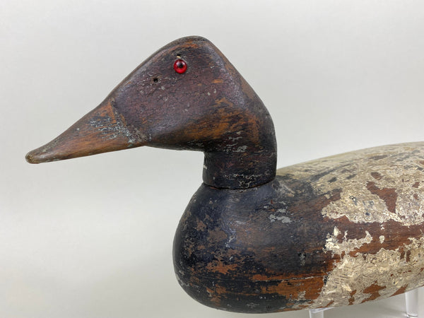 Illinois River Canvasback, Circa 1910's (#6501)