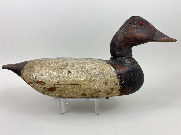 Illinois River Canvasback, Circa 1910's (#6501)