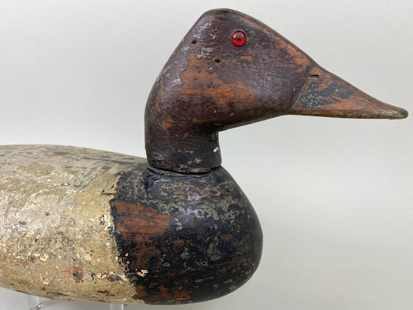 Illinois River Canvasback, Circa 1910's (#6501)