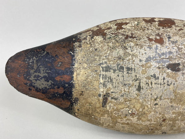 Illinois River Canvasback, Circa 1910's (#6501)