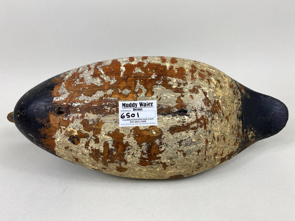 Illinois River Canvasback, Circa 1910's (#6501)