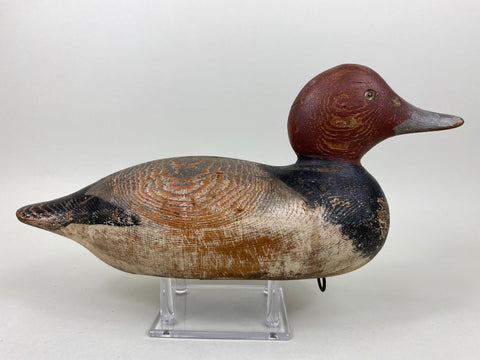 Mason Redhead Glass-eye, Original Paint (#6518)