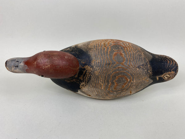 Mason Redhead Glass-eye, Original Paint (#6518)