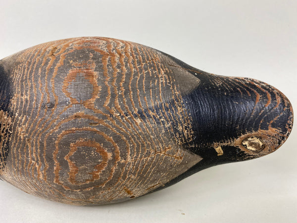 Mason Redhead Glass-eye, Original Paint (#6518)