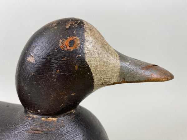 Mason Blue Bill Hen, Painted Eye (#6520)