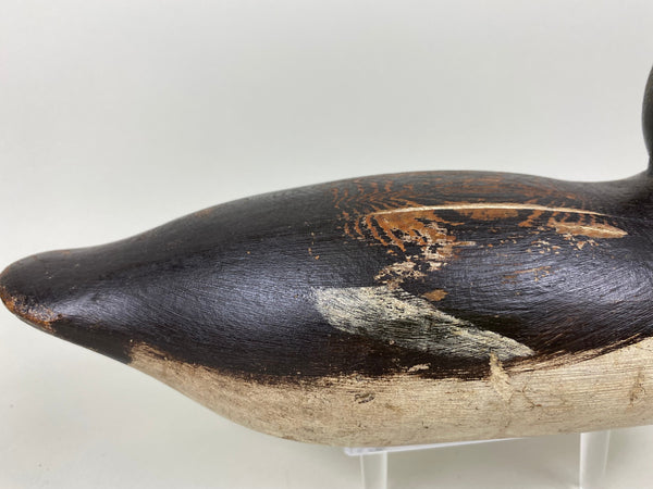 Mason Blue Bill Hen, Painted Eye (#6520)