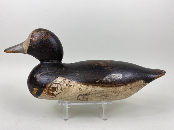 Mason Blue Bill Hen, Painted Eye (#6520)