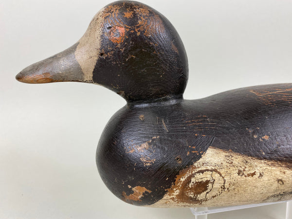 Mason Blue Bill Hen, Painted Eye (#6520)