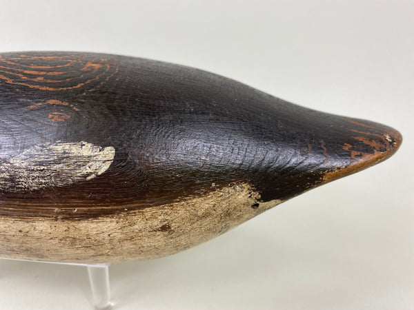 Mason Blue Bill Hen, Painted Eye (#6520)