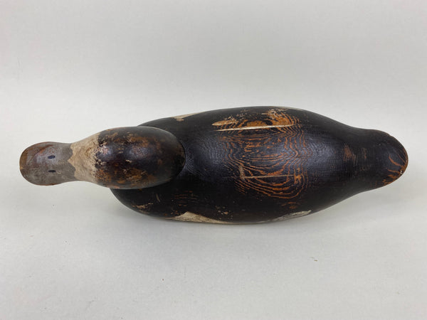 Mason Blue Bill Hen, Painted Eye (#6520)