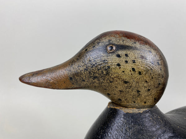 Mason Black Duck, Original Paint, Circa 1920's (#6523)