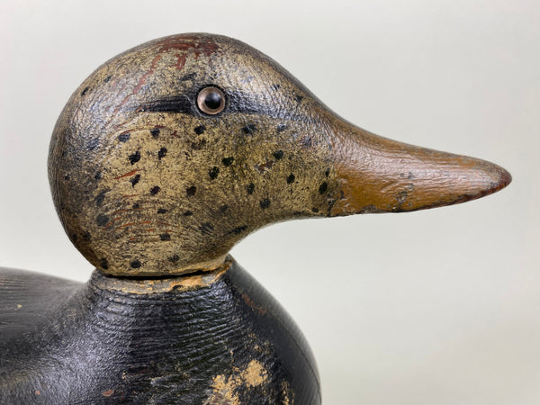 Mason Black Duck, Original Paint, Circa 1920's (#6523)