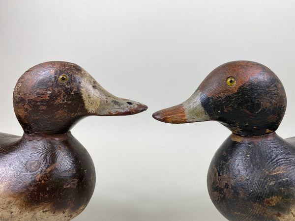 Mason Bluebills Rigmate Pair, Original Worn Paint (#6529)