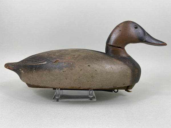 Wildfowler Canvasback Old Saybrook (#6535)