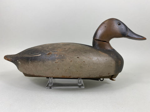 Wildfowler Canvasback Old Saybrook (#6535)