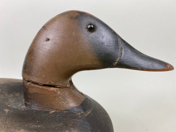Wildfowler Canvasback Old Saybrook (#6535)