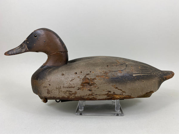 Wildfowler Canvasback Old Saybrook (#6535)