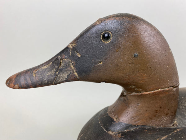 Wildfowler Canvasback Old Saybrook (#6535)