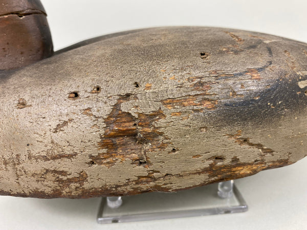 Wildfowler Canvasback Old Saybrook (#6535)