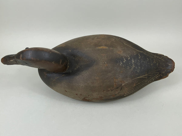 Wildfowler Canvasback Old Saybrook (#6535)