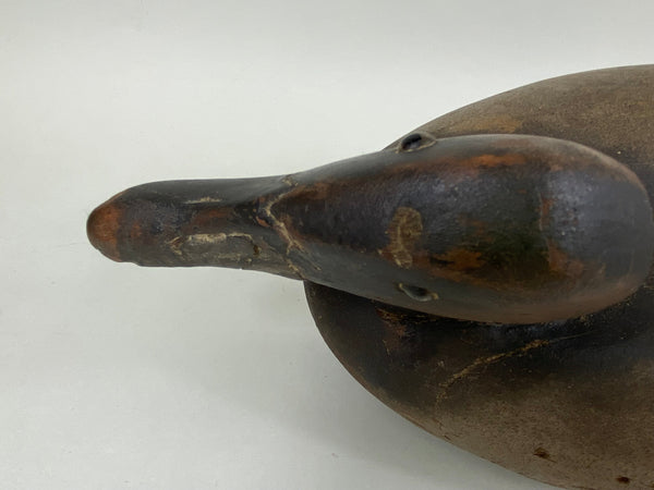 Wildfowler Canvasback Old Saybrook (#6535)