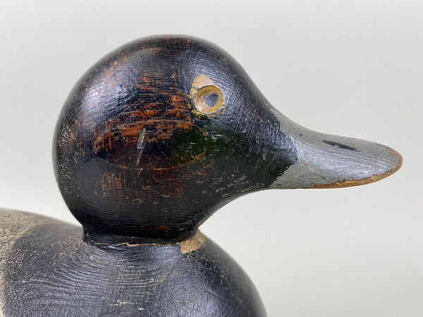 Mason Painted Eye Blue Bill, Original Paint and Neck Filler (#6542)