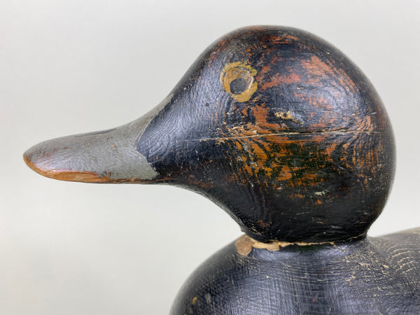 Mason Painted Eye Blue Bill, Original Paint and Neck Filler (#6542)