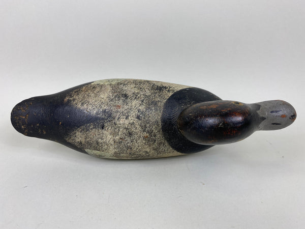 Mason Painted Eye Blue Bill, Original Paint and Neck Filler (#6542)