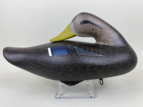 Jim Pierce Sleeper Black Duck (#6551)