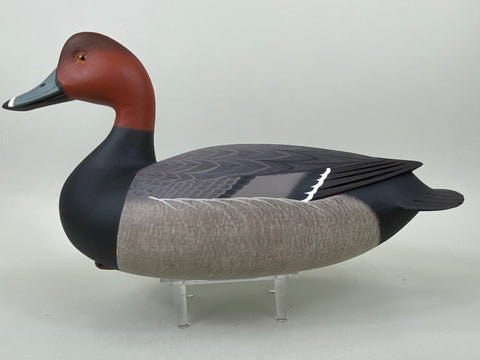 Frederick Brown Redhead Drake (#6555)