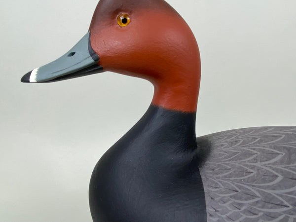 Frederick Brown Redhead Drake (#6555)