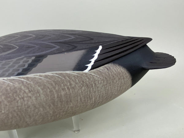 Frederick Brown Redhead Drake (#6555)