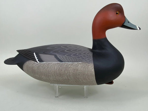 Frederick Brown Redhead Drake (#6555)
