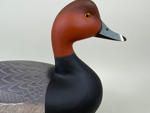 Frederick Brown Redhead Drake (#6555)