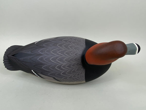 Frederick Brown Redhead Drake (#6555)