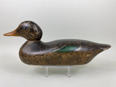 Mason Detroit Grade Mallard Hen (#6560)