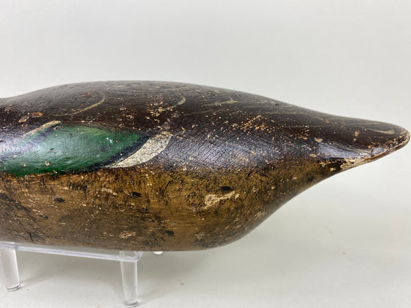 Mason Detroit Grade Mallard Hen (#6560)