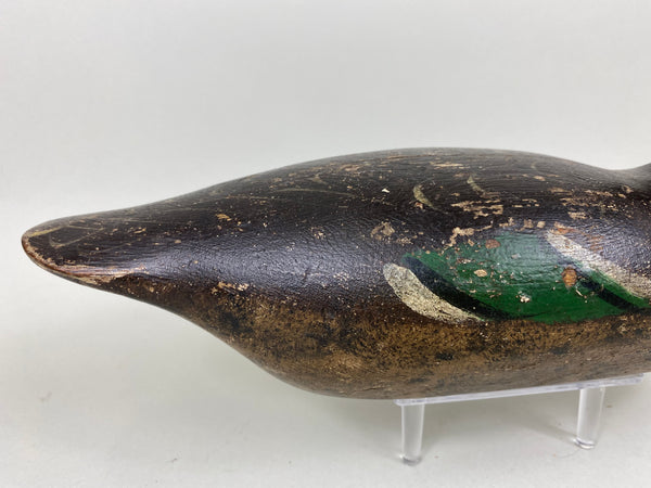 Mason Detroit Grade Mallard Hen (#6560)