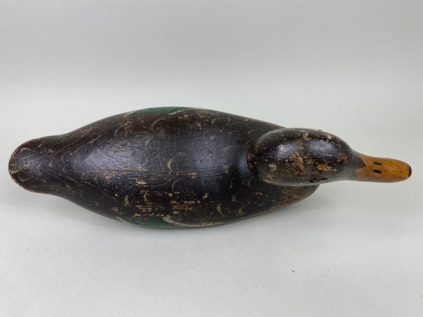 Mason Detroit Grade Mallard Hen (#6560)