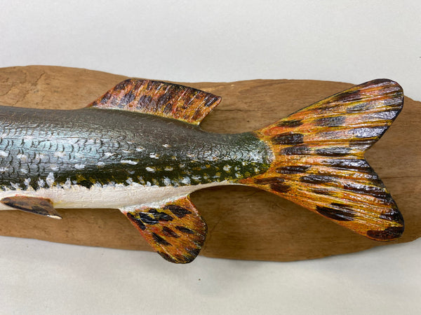 Clarence Trafka Northern Pike (#6590)