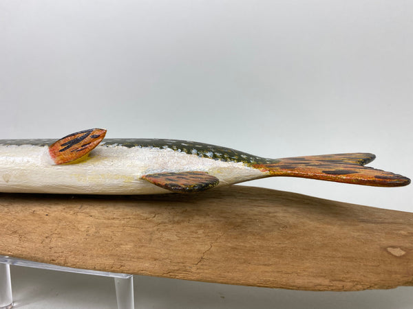 Clarence Trafka Northern Pike (#6590)