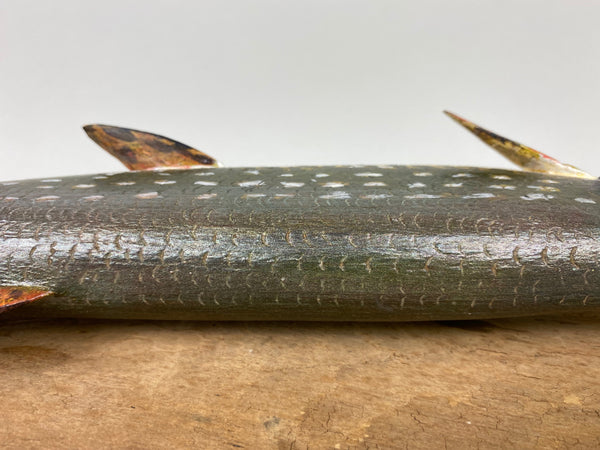 Clarence Trafka Northern Pike (#6590)