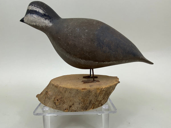 Hurley Conklin Standing Quail (#6595)