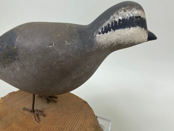 Hurley Conklin Standing Quail (#6595)